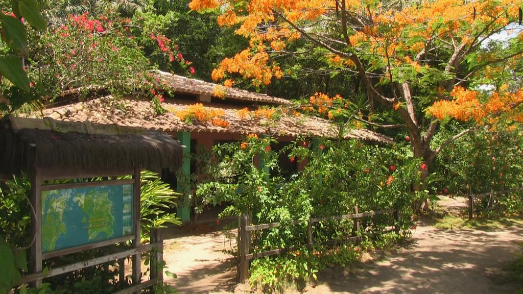 Pousada Tassimirim Velha Boipeba Экстерьер фото